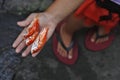 Closeup shot of fresh snappers on a person hand