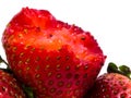 Closeup shot of fresh strawberries. Isolated on white background Royalty Free Stock Photo