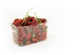 Closeup shot of fresh strawberries in a plastic bowl isolated on a white background Royalty Free Stock Photo