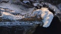 Closeup shot of frozen rock formations in a frozen river