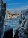 Closeup shot of frozen rocks with geese in the background swimming in a river on a winter day