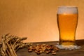 Closeup shot of a glass of beer and nuts on the table Royalty Free Stock Photo