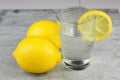 Closeup shot of a glass of lemon juice with a sliced lemon next to whole lemons Royalty Free Stock Photo