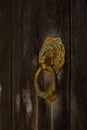 Closeup shot of a golden lion head door knocker hanging on a wooden door Royalty Free Stock Photo