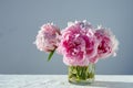 Closeup shot of gorgeous pink peonies in a short glass jar on gray background