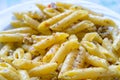 Closeup shot of a gourmet dish of cheesy penne pasta