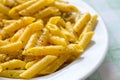 Closeup shot of a gourmet dish of cheesy penne pasta