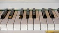 Closeup shot of a grand piano keyboard. Royalty Free Stock Photo