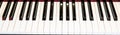 Closeup shot of a grand piano keyboard. Royalty Free Stock Photo