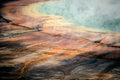 Closeup shot of the Grand Prismatic Spring, Yellowstone National Park, Wyoming USA Royalty Free Stock Photo