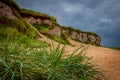 Closeup shot of grass growing in the sandy beach and a cloudy sky on the background Royalty Free Stock Photo