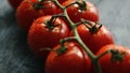 Twig with ripe red tomatoes