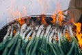 Traditional catalan calcots onion or cambray