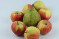 Closeup shot of a group of apples and a pear on a white background.