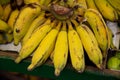 Closeup shot of a group of mini bananas