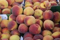 Closeup shot of a group of peaches for sale Royalty Free Stock Photo