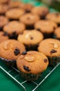 Closeup shot of a group of raisins almond banana cake cup on a baking rack. Royalty Free Stock Photo