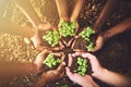 Coming together for the sake of our beautiful planet. Closeup shot of a group of unrecognizable people holding plants