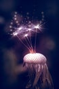 Closeup shot of a half blew dandelion on a nature background with 3d rendered lights on it Royalty Free Stock Photo