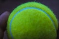 Closeup shot of a hand holding a tennis ball Royalty Free Stock Photo