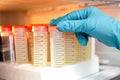 Closeup shot, hand of Scientist checking sample solution in refrigerator in the laboratory Royalty Free Stock Photo