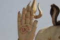 Closeup shot of the hand of the statue of Buddha in Nageshwar Shiva Temple Goriyali in India