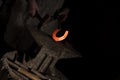 Closeup shot of the hands of a blacksmith hammering a hot horseshoe