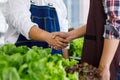 Closeup shot handshaking together of unrecognizable unknown two male farmers in apron when agriculture business agreement Royalty Free Stock Photo