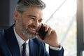 Closeup Shot Of Handsome Smiling Middle Aged Businessman Talking On Mobile Phone Royalty Free Stock Photo