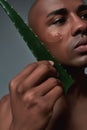 Closeup shot of handsome young african american man looking aside, holding fresh leaf of Aloe Vera while posing with gel Royalty Free Stock Photo