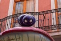 Closeup shot of a happy ant on the cap of a red mushroom in the famous Mushroom Street in Spain Royalty Free Stock Photo