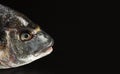 Closeup shot of the head of a Dorada looking to the right on a black background