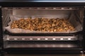 Closeup shot of healthy oats and nuts on a sheet in the oven