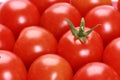 Closeup shot of a heap of cherry tomatoes
