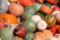 Closeup shot of a heap of multicolored pumpkins