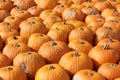 Closeup shot of a heap of multicolored pumpkins