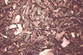 Closeup shot of hibiscus herbal tea dried petals Royalty Free Stock Photo