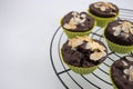 Closeup shot of homemade chocolate muffins on a cooking rack Royalty Free Stock Photo