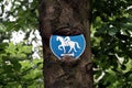 Closeup shot of a horse riding sign on a tree in a forest Royalty Free Stock Photo
