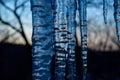 Closeup shot of huge icicles in winter on a blurred background - perfect for a wallpaper Royalty Free Stock Photo