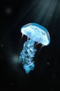 Closeup shot of an illuminated and transparent blue jellyfish swimming in the deep ocean Royalty Free Stock Photo