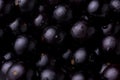 Closeup shot of Jaboticaba berry fruit spread on the surface Royalty Free Stock Photo