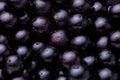 Closeup shot of Jaboticaba berry fruit spread on the surface Royalty Free Stock Photo