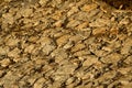 Closeup shot of laid of rough rubble strewn with dry sticks and jelly stones Royalty Free Stock Photo