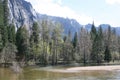 Closeup shot of a lake surrounded by a forest and mountai