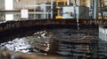 A closeup shot of a large tank filled with a dark liquid. A sign next to the tank reads Organic waste processed into