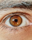 Closeup shot of light brown human eye Royalty Free Stock Photo