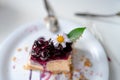 Closeup shot of little sweet decorative Blueberry Cheesecake. Plate with Blueberry Cheese Tart. Berries on top