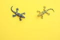 Closeup shot of lizard shaped rubber toys isolated on a yellow background