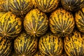 Closeup shot of a lot of melons in the market Royalty Free Stock Photo